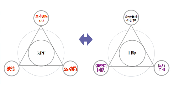 “奇胜营销全过程”协作关系图